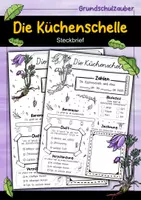 Vorschau - Arbeitsblätter - Steckbrief Küchenschelle - Frühblüher - Deckblatt