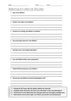 Vorschau - Arbeitsblätter - AB mit Fragen zum Thema "Wildnis" + Lösungsblatt + Infografik - Deckblatt