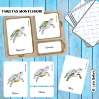 Vista previa - Juegos / Gamificación - ANATOMÍA DE LA TORTUGA MARINA - TARJETAS MONTESSORI. - Portada