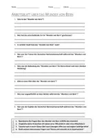 Vorschau - Arbeitsblätter - AB mit Fragen zum Thema "Wunder von Bern" + Lösungsblatt + Infografik - Deckblatt