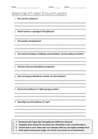 Vorschau - Arbeitsblätter - AB mit Fragen zum Thema "Zitruspflanzen" + Lösungsblatt - Deckblatt