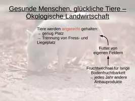 Vorschau - Präsentationen/Tafelbilder - Ökologische Landwirtschaft - Geographie - Digitales Tafelbild - Seite 1