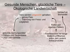 Vorschau - Präsentationen/Tafelbilder - Ökologische Landwirtschaft - Geographie - Digitales Tafelbild - Seite 2