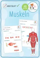 Vorschau - Arbeitsblätter - Muskeln & Muskelkontraktion - 9x Spiele und Aktivitäten (Abitur) - Seite 1