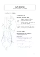 Vorschau - Arbeitsblätter - Anatomie und Physiologie, Harnsystem (4 Lektionen) - Seite 1
