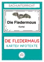 Vorschau - Arbeitsblätter - Wissenskartei: Fledermaus mit Lernzielkontrolle zum Lesen & Abschreiben & Informieren - Deckblatt
