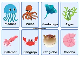 Vista previa - Tarjetas / Manipulativos - ¡Flashcards de los Animales del Mar! - página 3