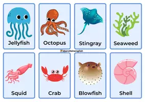 Vista previa - Tarjetas / Manipulativos - Sea Animals Flashcards! - página 3