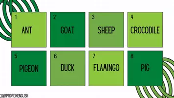 anteprima - Giochi - Watch out! Animali in inglese! - Pagina 3