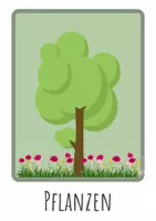 Vorschau - Poster - Bildkarten/Themenposter Sachunterricht (Was ist Sachunterricht?) - Seite 3