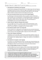 Vorschau - Arbeitsblätter - AB mit Fragen zum Thema "Flugtechnik" + Lösungsblatt - Seite 1