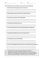 Vorschau - Arbeitsblätter - AB mit Fragen zum Thema "Reinigung des Blutes durch die Niere" + Lösungsblatt - Deckblatt