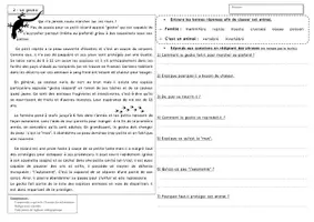Aperçu - Préparation de séquence / Séquence complète - Sciences - lecture documentaire - Classification des animaux CE / CM - Page 3