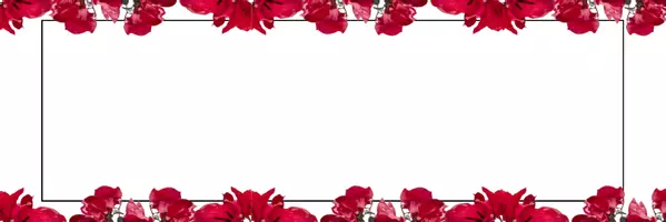 Vorschau - Poster - Namensschilder Flower - Seite 1