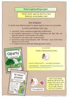 Vorschau - Stundenentwürfe - Laubbäume (Bäume) - Klasse 3 und 4 - Seite 2