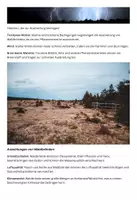 Vorschau - Merkblätter - Waldbrände Lernblatt - Aktuelle Klimakatastrophen - Seite 1