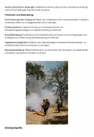 Vorschau - Merkblätter - Waldbrände Lernblatt - Aktuelle Klimakatastrophen - Seite 2