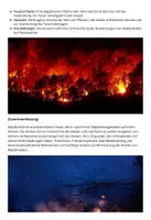 Vorschau - Merkblätter - Waldbrände Lernblatt - Aktuelle Klimakatastrophen - Seite 3