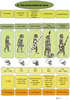 Vorschau - Stundenentwürfe - Geschichte bilingual-Evolution of man-Zuordnung-Freiarbeit - Seite 3