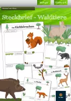 Vorschau - Arbeitsblätter - Ökosystem Wald - Steckbriefe der Waldtiere - Deckblatt