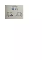 Vorschau - Experimente - Lactase-Experiment - Seite 1
