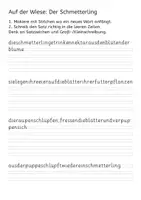 Vorschau - Arbeitsblätter - Übung zur Rechtschreibung Groß/Klein - Schmetterlinge - Deckblatt