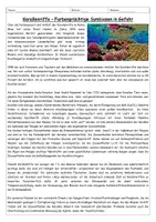 Vorschau - Arbeitsblätter - Korallen Symbiose - Kreatives Arbeitsblatt - Seite 1