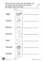 Vorschau - Arbeitsblätter - Die Grapheme ch und sch differenzieren - Seite 3