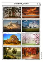 Vorschau - Unterrichtsreihen - Der Baum- ein Symbol für mein Leben - Seite 2