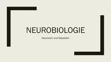 Vorschau - Präsentationen/Tafelbilder - Neurone und Gliazellen. Präsentationen mit digitalen Links - Seite 1