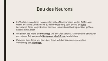 Vorschau - Präsentationen/Tafelbilder - Neurone und Gliazellen. Präsentationen mit digitalen Links - Seite 3