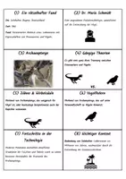 Vorschau - Stundenentwürfe - Mystery zum Archaeopteryx - Evolution / Biologie - Seite 2