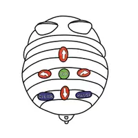 Vorschau - selbst erstellte Cliparts/Grafiken - Illustrationen Cliparts Programmieren nicht kommerziell - Seite 3
