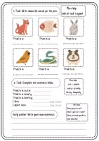 Vorschau - Arbeitsblätter - Pets in English - Haustiere auf Englisch mit Lösungen - Seite 2