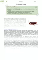 Vorschau - Arbeitsblätter - Insekten | Metamorphose und Mehlwurm - Deckblatt