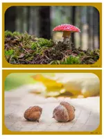 Vorschau - Mal- und Bastelvorlagen - Autumn Cinquains- Herbstbild gestalten - Seite 3