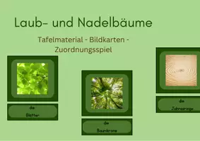 Vorschau - Spiele - Laub- und Nadelbäume Tafelmaterial - Deckblatt