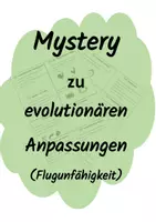 Vorschau - Stundenentwürfe - Mystery zur Flugunfähigkeit (als evolutionäre Anpassung) - Seite 1