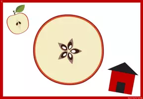 Vorschau - Fördermaterial/Inklusion - Liederarbeitung: In meinem kleinen Apfel - Seite 3
