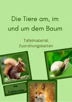 Vorschau - Bildkarten - Tafelmaterial Zuordnungskarten - Tiere am, im und um dem Baum - Deckblatt