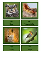 Vorschau - Bildkarten - Tafelmaterial Zuordnungskarten - Tiere am, im und um dem Baum - Seite 3