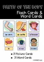 Vorschau - Stationenlernen - Parts of the body Flash Cards - Deckblatt
