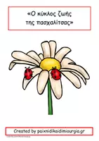 Προεπισκόπηση - Φύλλα εργασίας - Πακέτο δραστηριοτήτων: "Ο κύκλος ζωής της πασχαλίτσας". - Εξώφυλλο