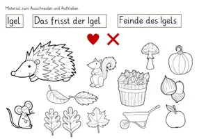 Vorschau - Stundenentwürfe - Lapbook Igel Klasse 1-2 stark vereinfacht - Seite 2