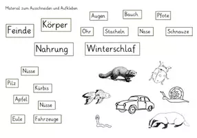 Vorschau - Stundenentwürfe - Lapbook Igel Klasse 1-2 stark vereinfacht - Seite 3