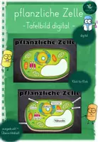Vorschau - Poster - Tafelbild I Zelle I pflanzliche Zelle I Pflanzenzelle I digital - Deckblatt