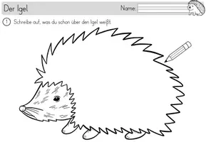 Vorschau - Unterrichtsreihen - Lernwerkstatt - Der Igel inklusive Prickel - und Bastelvorlagen - Seite 3