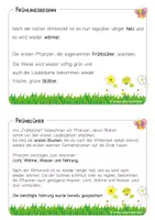 Vorschau - Stationenlernen - Frühblüher - Wissenskartei - Karteikarten - Seite 3