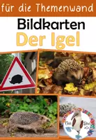 Vorschau - Präsentationen/Tafelbilder - Igel - Bildkarten & Fotos für die Themenwand - Deckblatt