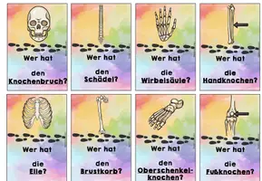 Vorschau - Spiele - Lesespiel Skelett - Ich habe... -Wer hat...? - Knochen, Skelett - Seite 1